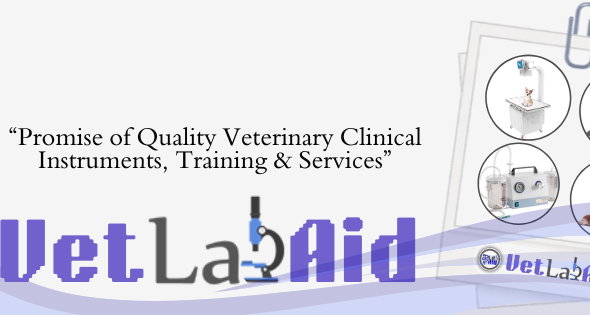 Your paragraph text (1)